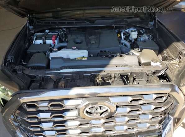 5TFNA5DB9SX290695 2025 TOYOTA TUNDRA Gray უკანა სალონის ხედი