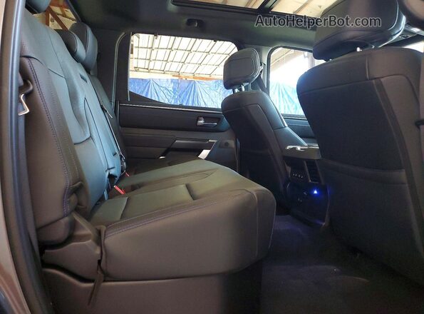 5TFNA5DB9SX290695 2025 TOYOTA TUNDRA Gray უკანა სავარძლების ხედი
