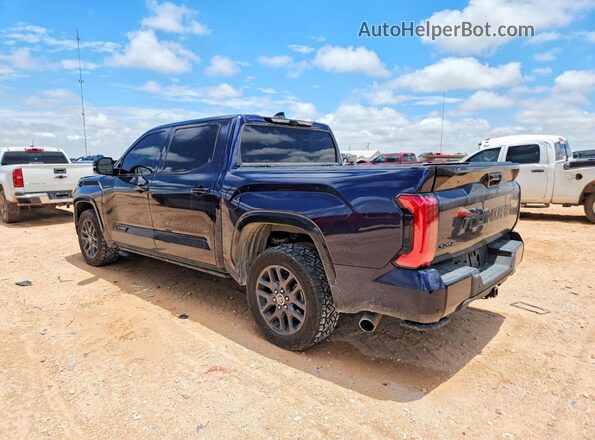 5TFNA5DBXPX117274 2023 TOYOTA TUNDRA Blue Rear left
