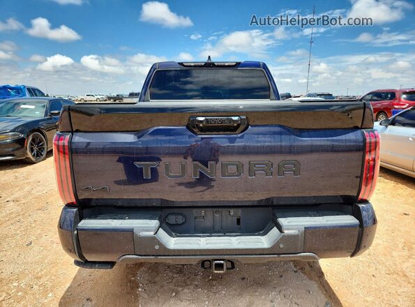 5TFNA5DBXPX117274 2023 TOYOTA TUNDRA Blue Rear view