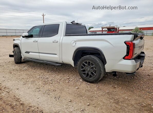 5TFNA5EC6PX019074 2023 TOYOTA TUNDRA Белый Задняя левая четверть