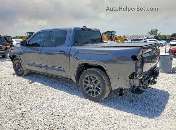 5TFNC5DB1SX109342 2025 TOYOTA TUNDRA Gray Tył lewy