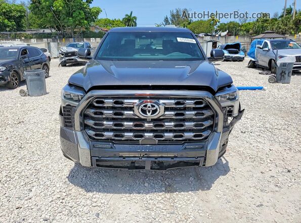 5TFNC5DB1SX109342 2025 TOYOTA TUNDRA Gray Widok z przodu