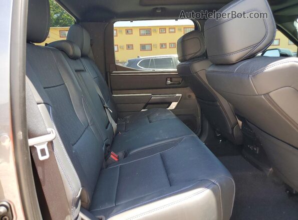 5TFNC5DB1SX109342 2025 TOYOTA TUNDRA Gray Widok tylnych siedzeń