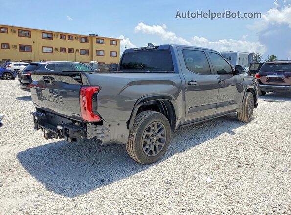 5TFNC5DB1SX109342 2025 TOYOTA TUNDRA Gray Tył prawy