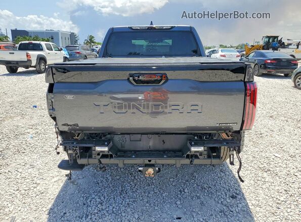 5TFNC5DB1SX109342 2025 TOYOTA TUNDRA Gray Widok z tyłu