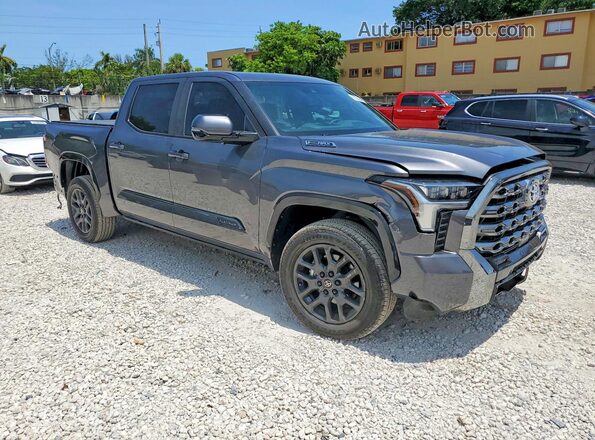 5TFNC5DB1SX109342 2025 TOYOTA TUNDRA Gray Przód prawy