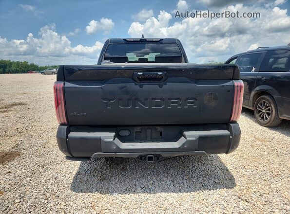 5TFNC5DB3PX039706 2023 TOYOTA TUNDRA Black Vista trasera