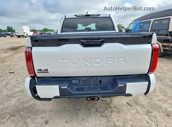 5TFNC5DB4RX068246 2024 TOYOTA TUNDRA Белый Вид сзади