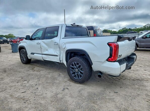 5TFNC5DB4RX068246 2024 TOYOTA TUNDRA Белый Задняя левая четверть
