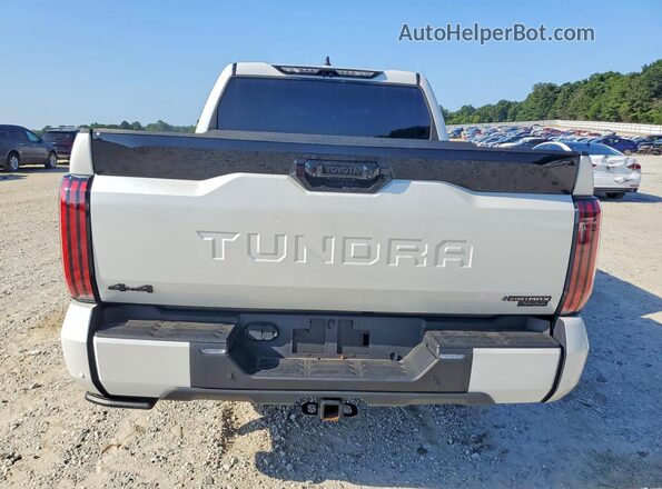 5TFNC5DB9SX088546 2025 TOYOTA TUNDRA White Вид ззаду