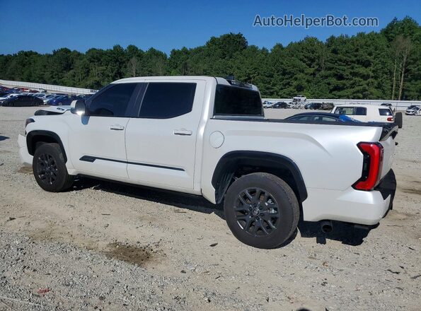 5TFNC5DB9SX088546 2025 TOYOTA TUNDRA White Задня ліва чверть