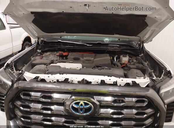 5TFNC5DBXRX041889 2024 TOYOTA TUNDRA HYBRID White Widok z tyłu