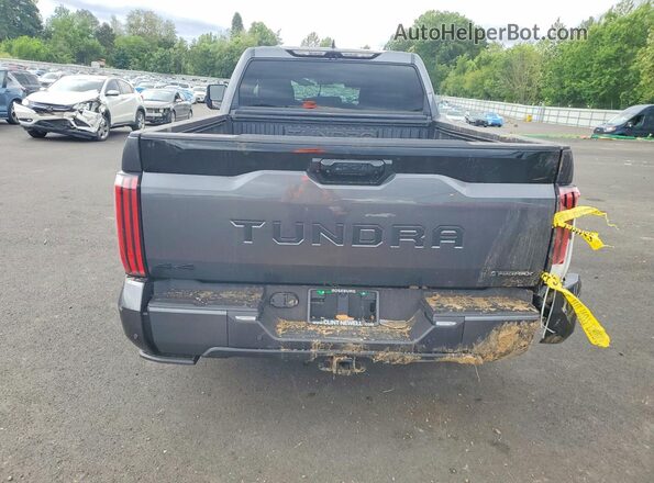 5TFNC5EC2TX011204 2026 TOYOTA TUNDRA Gray Հետևի տեսք