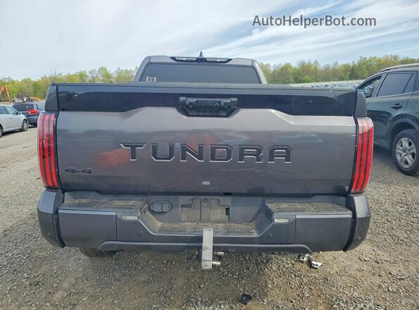 5TFNC5EC5NX002001 2022 TOYOTA TUNDRA Gray Vista trasera