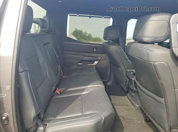 5TFNC5EC5NX002001 2022 TOYOTA TUNDRA Gray Vista de los asientos traseros