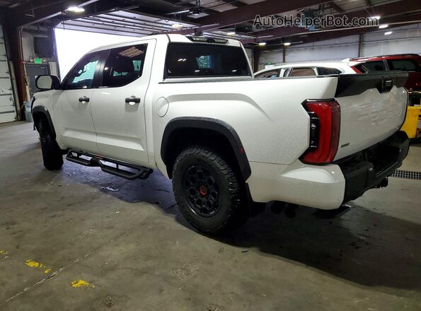 5TFPC5DB1SX113660 2025 TOYOTA TUNDRA White უკანა მარცხენა