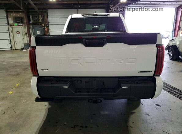 5TFPC5DB1SX113660 2025 TOYOTA TUNDRA White უკანა ხედი