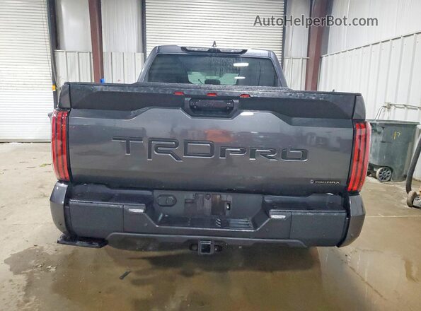 5TFPC5DB2TX125253 2026 TOYOTA TUNDRA Charcoal Հետևի տեսք