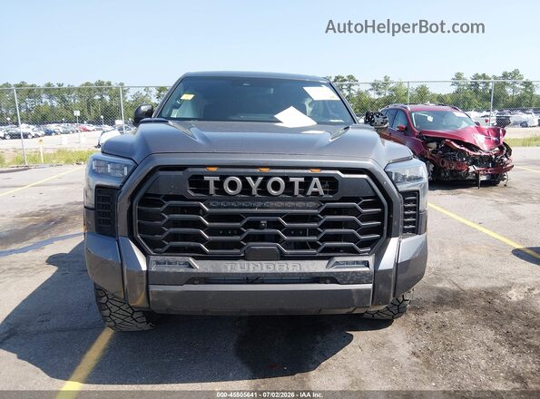 5TFPC5DB3RX042696 2024 TOYOTA TUNDRA HYBRID Gray Widok wnętrza z tyłu