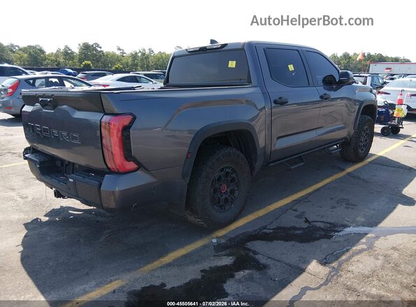 5TFPC5DB3RX042696 2024 TOYOTA TUNDRA HYBRID Gray Tył prawy