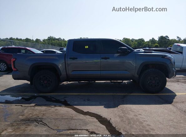 5TFPC5DB3RX042696 2024 TOYOTA TUNDRA HYBRID Gray Widok wnętrza 360 stopni