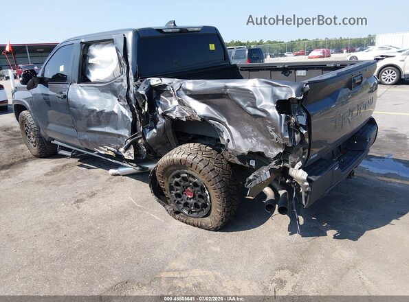5TFPC5DB3RX042696 2024 TOYOTA TUNDRA HYBRID Gray Tył lewy