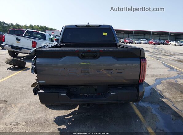 5TFPC5DB3RX042696 2024 TOYOTA TUNDRA HYBRID Gray 