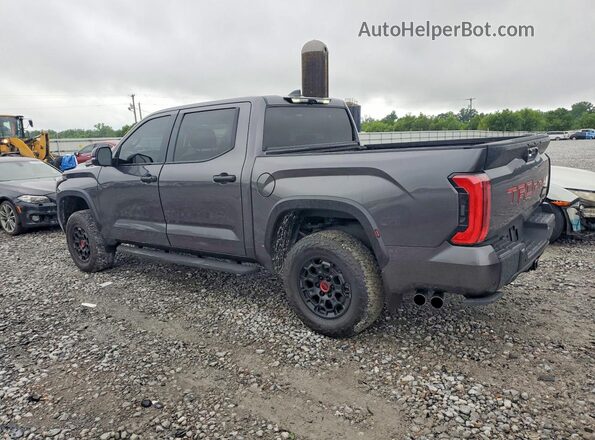 5TFPC5DB6SX090053 2025 TOYOTA TUNDRA Gray Rear left