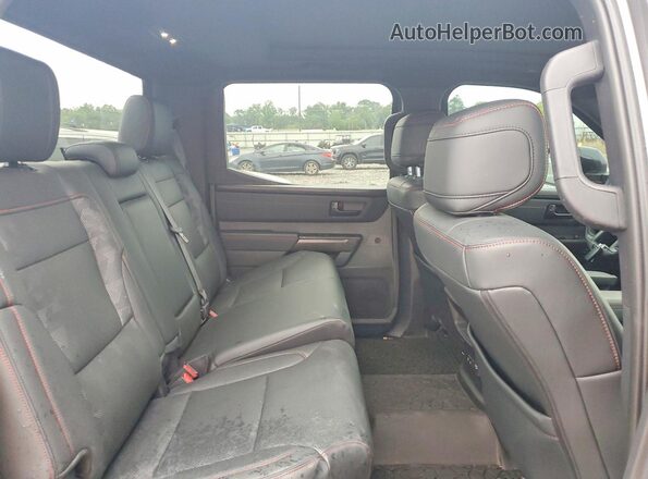 5TFPC5DB6SX090053 2025 TOYOTA TUNDRA Gray Rear seats view