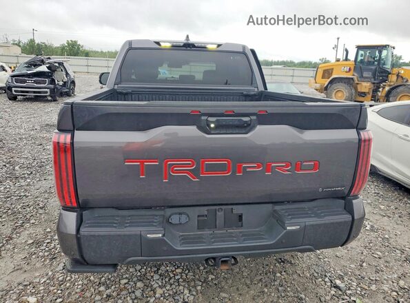 5TFPC5DB6SX090053 2025 TOYOTA TUNDRA Gray Rear view