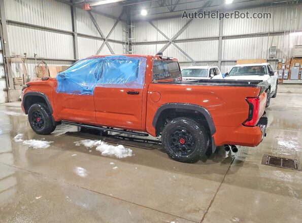 5TFPC5DB9RX084614 2024 TOYOTA TUNDRA Orange Задня ліва чверть