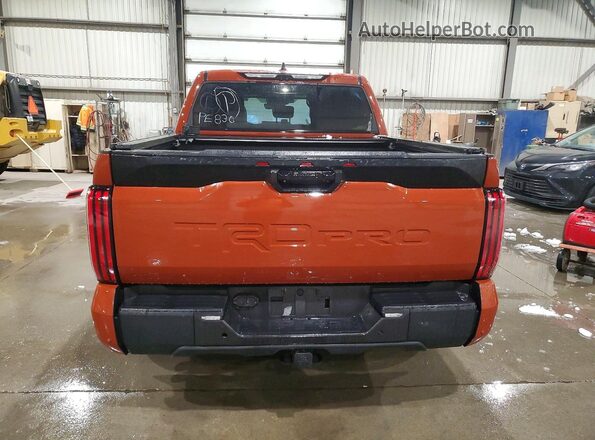 5TFPC5DB9RX084614 2024 TOYOTA TUNDRA Orange Вид ззаду