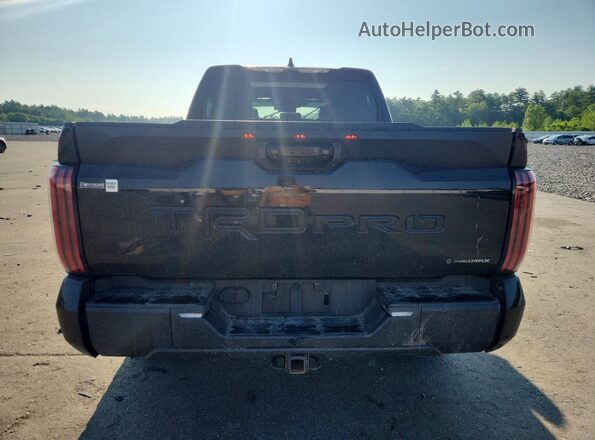5TFPC5DBXSX087673 2025 TOYOTA TUNDRA Black Widok z tyłu