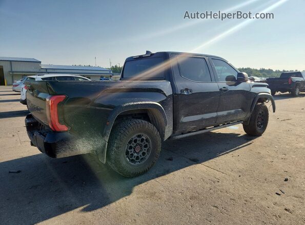 5TFPC5DBXSX087673 2025 TOYOTA TUNDRA Black Tył prawy