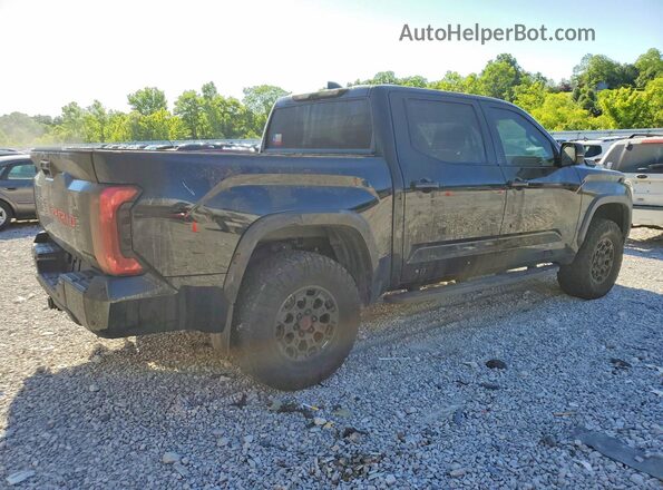 5TFPC5DBXSX093425 2025 TOYOTA TUNDRA Black Trasero derecho