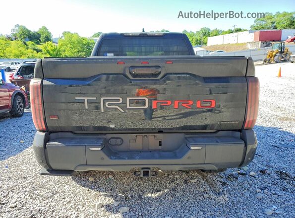 5TFPC5DBXSX093425 2025 TOYOTA TUNDRA Black Vista trasera