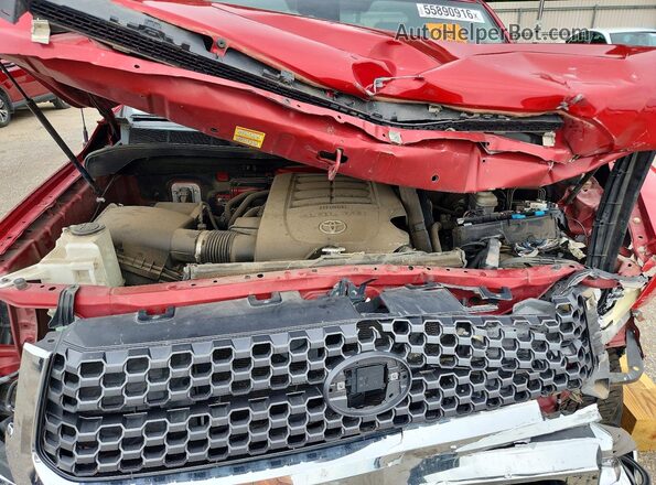 5TFRM5F13KX135959 2019 TOYOTA TUNDRA Красный Вид задней части салона