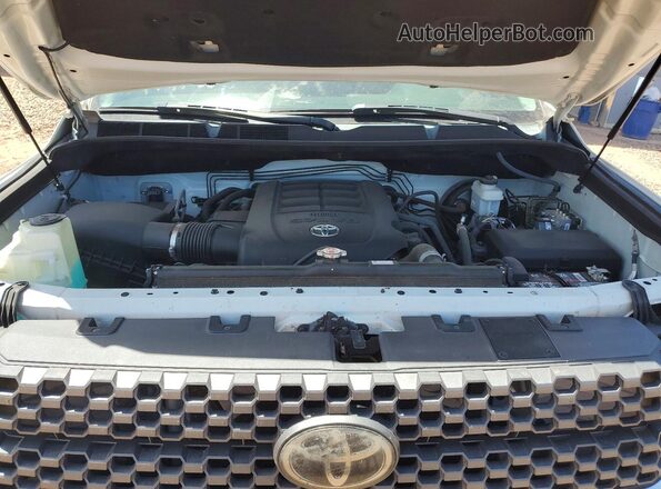 5TFRY5F17LX256533 2020 TOYOTA TUNDRA White Սալոնի հետևի տեսք