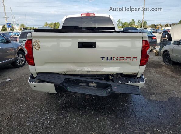 5TFRY5F19MX298753 2021 TOYOTA TUNDRA White Вид ззаду
