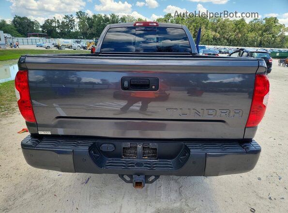 5TFSW5F16HX229080 2017 TOYOTA TUNDRA Gray უკანა ხედი