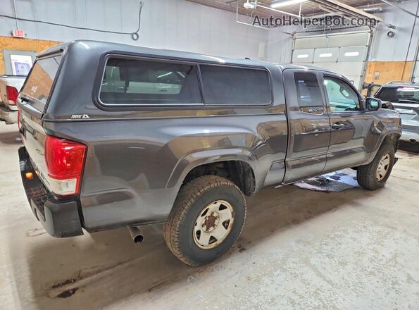 5TFSX5EN6GX044933 2016 TOYOTA TACOMA Gray Հետևի աջ