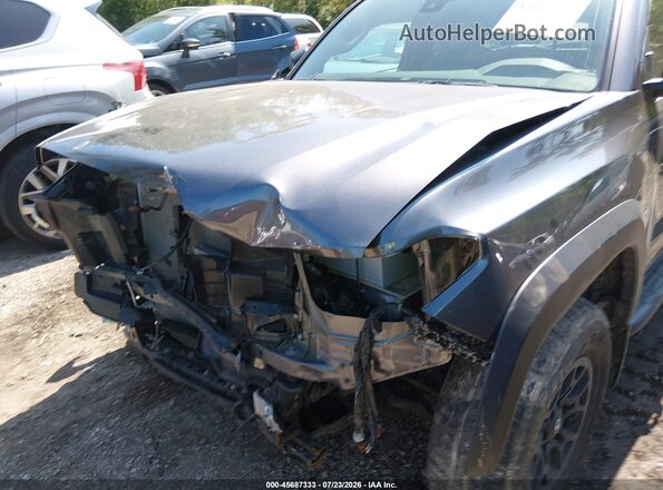 5TFSZ5AN7KX201488 2019 TOYOTA TACOMA Gray Widok z przodu