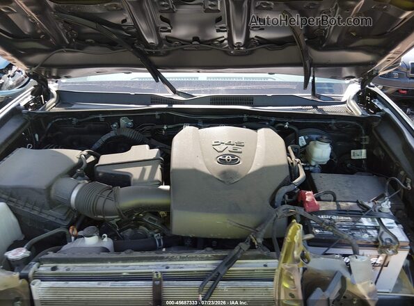 5TFSZ5AN7KX201488 2019 TOYOTA TACOMA Gray Widok z tyłu