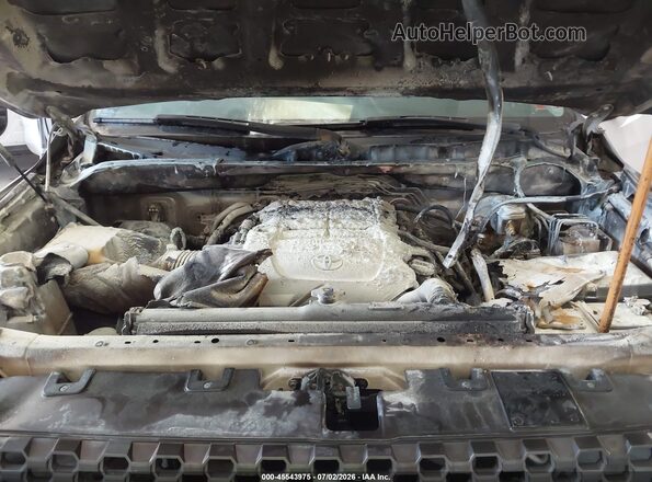 5TFUY5F16KX826465 2019 TOYOTA TUNDRA White უკანა ხედი