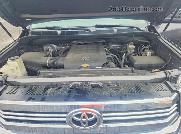 5TFUY5F1XGX533837 2016 TOYOTA TUNDRA Gray Սալոնի հետևի տեսք