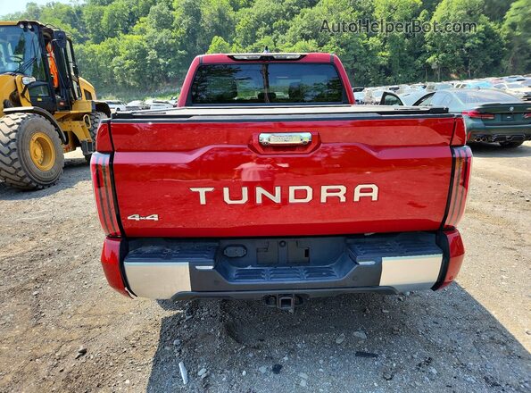5TFVC5DB4RX040477 2024 TOYOTA TUNDRA Red Вид ззаду