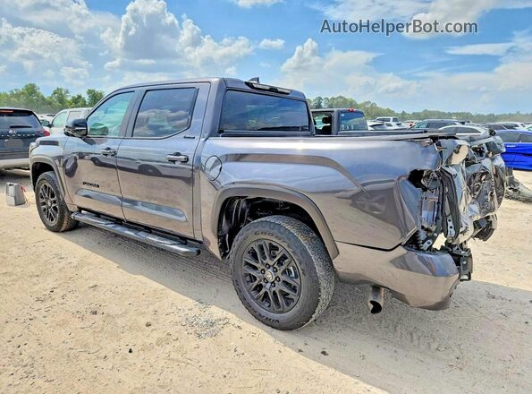 5TFWA5DB1TX346294 2026 TOYOTA TUNDRA Gray Հետևի ձախ