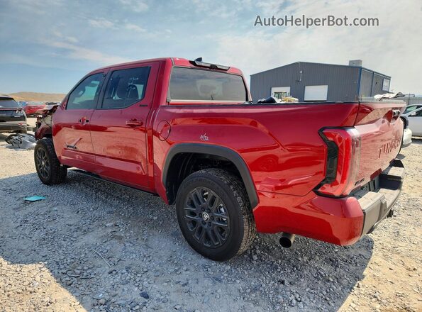 5TFWA5DB2TX360365 2026 TOYOTA TUNDRA Red Задня ліва чверть