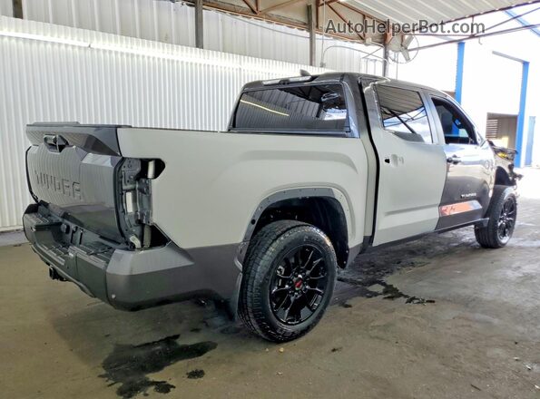 5TFWA5DB3SX309648 2025 TOYOTA TUNDRA Gray უკანა მარჯვენა